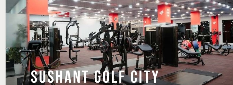 Athlete training hard in the gym